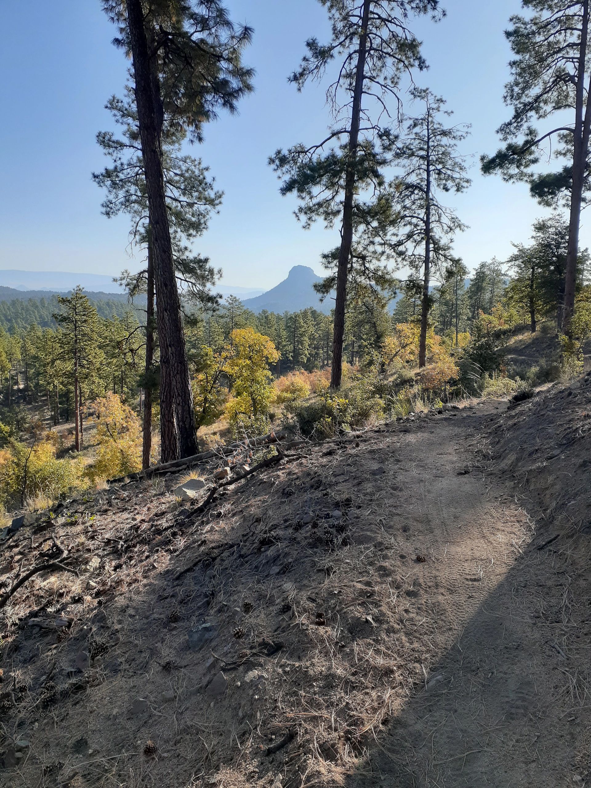 Prescott residents enjoy bountiful hiking and biking trails!